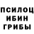 Псилоцибиновые грибы GOLDEN TEACHER Irowka Abdukarimova