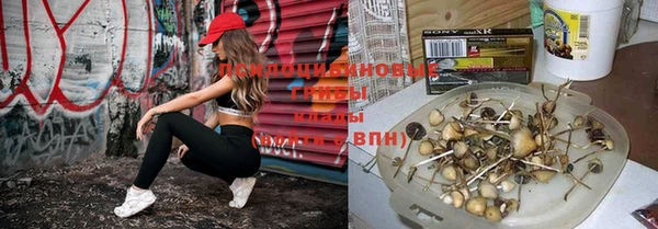 мяу мяу мука Грязи
