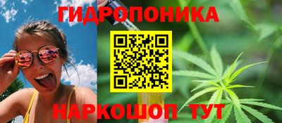 мяу мяу мука Ликино-Дулёво