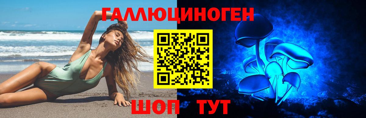 Галлюциногенные грибы MAGIC MUSHROOMS  Вход с VPN  как найти   Острогожск 