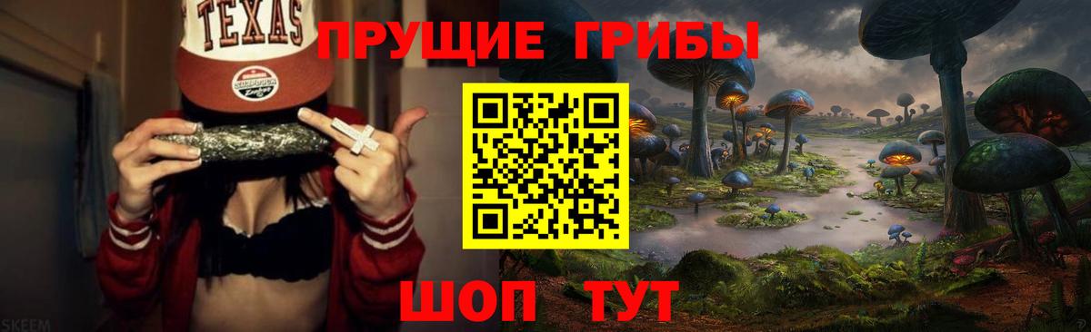 Галлюциногенные грибы ЛСД  Псилоцибиновые грибы Psilocybe  купить наркотики цена  Острогожск 